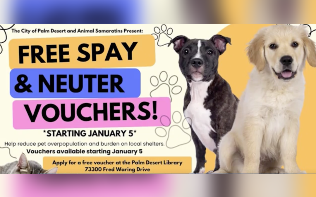 Una acción que beneficia a todos: a las mascotas, a los dueños y a la comunidad.