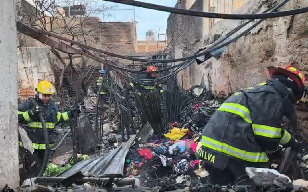 Incendio en Tonalá: Fuego Devora Casa y Tres Perritos Pierden la Vida