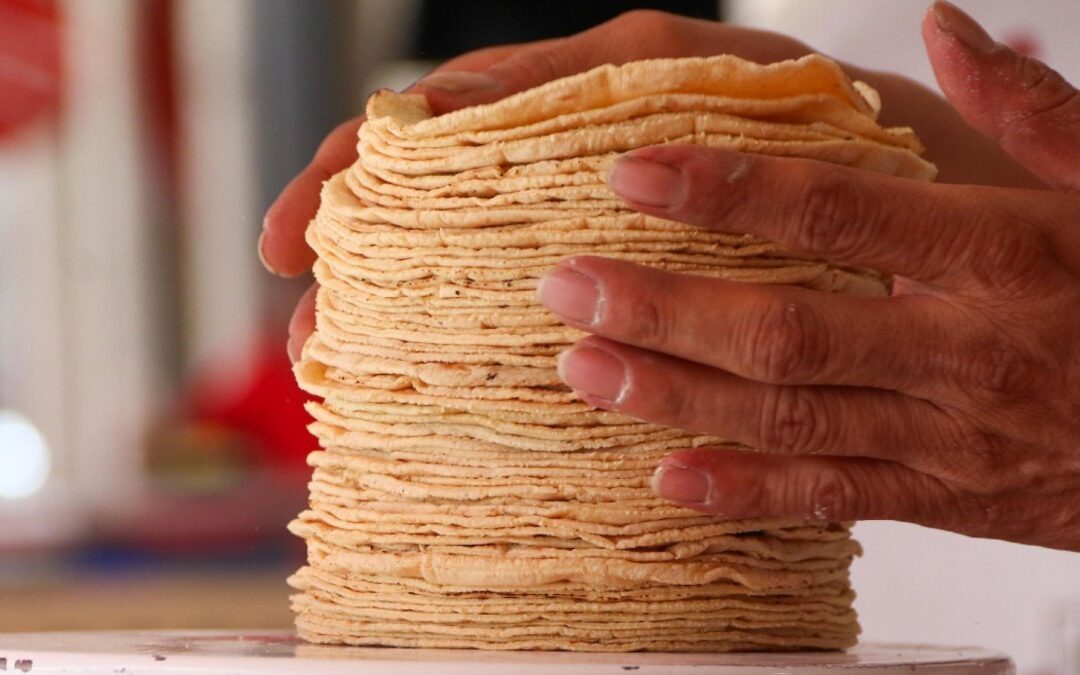 Precios de la Tortilla y Gasolina en Puebla: ¿Cómo Impactan en 2026?