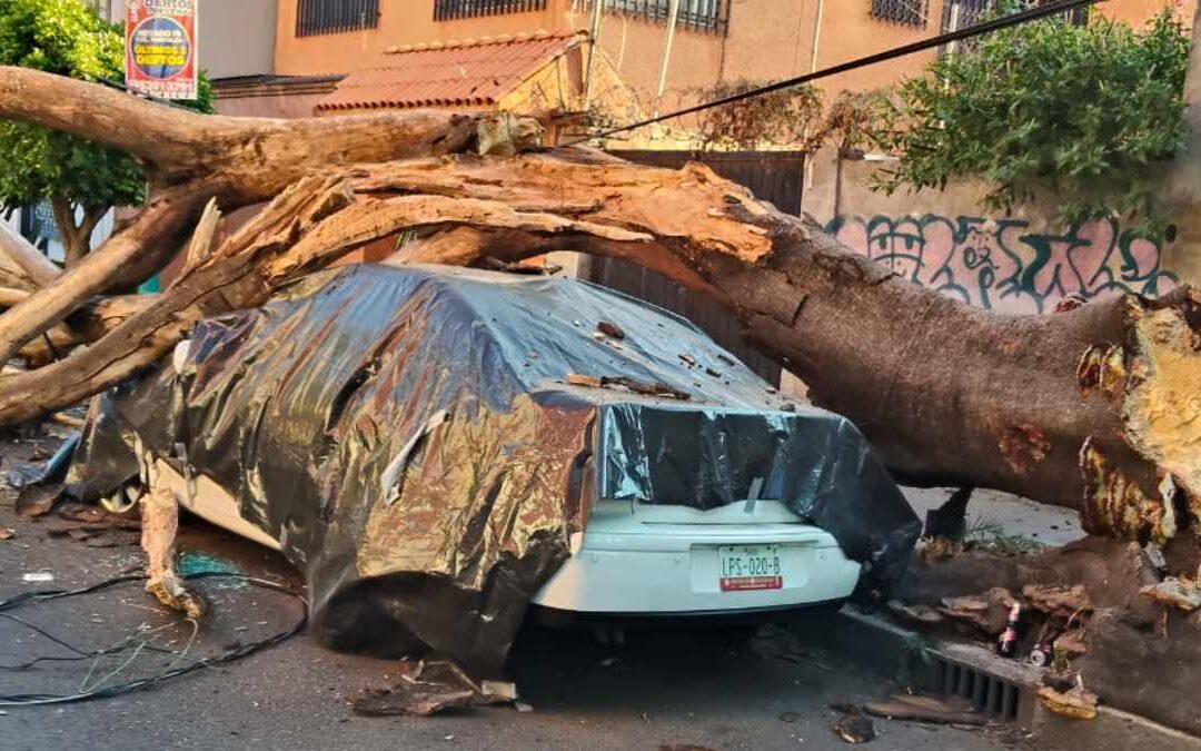 Sismo en Guerrero: Más de 30 inmuebles afectados en CdMx y 2 en riesgo de colapso