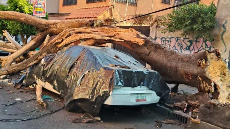 Sismo en Guerrero: Más de 30 inmuebles afectados en CdMx y 2 en riesgo de colapso