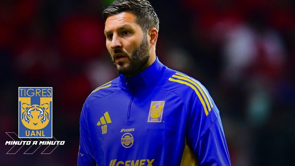 Tigres En Pretemporada: Los Jugadores Que Se Presentaron Hoy - Noticias Notivalle Tigres En Pretemporada: Los Jugadores Que Se Presentaron Hoy