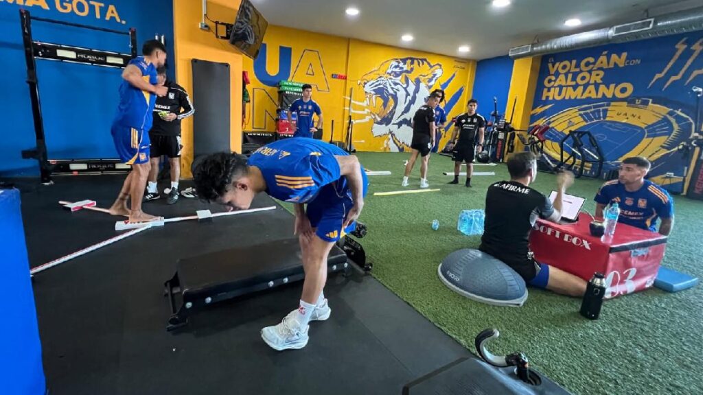 Bajas En Tigres: Dos Jugadores Que No Continuarán Con Guido Pizarro Para 2026