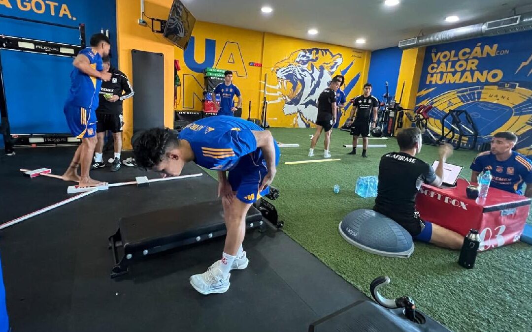 Bajas en Tigres: Dos Jugadores que No Continuarán con Guido Pizarro para 2026