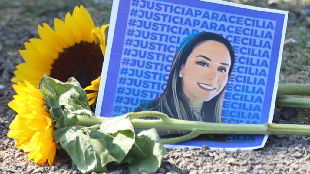 ¿Qué Castiga La Ley Mozón Y Cuáles Son Los Estados Que Ya La Han Aprobado?