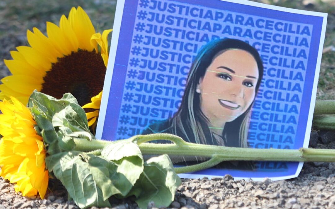 ¿Qué castiga la Ley Mozón y cuáles son los estados que ya la han aprobado?