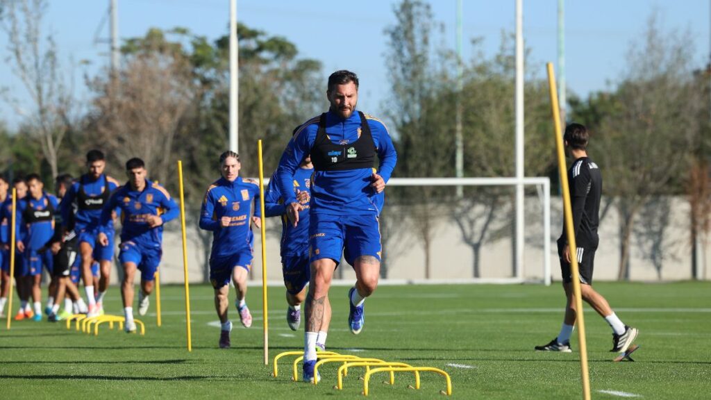 Tigres Inicia Entrenamientos Para La Jornada 1: ¿Qué Jugadores Aún No Se Reportan? - Noticias Notivalle Tigres Inicia Entrenamientos Para La Jornada 1: ¿Qué Jugadores Aún No Se Reportan?