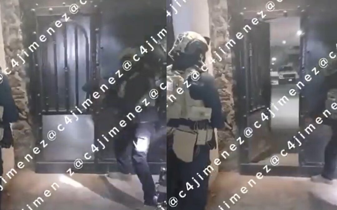 Operativo en Xochimilco: Encuentran perritos y hallan armamento del Cártel de Sinaloa