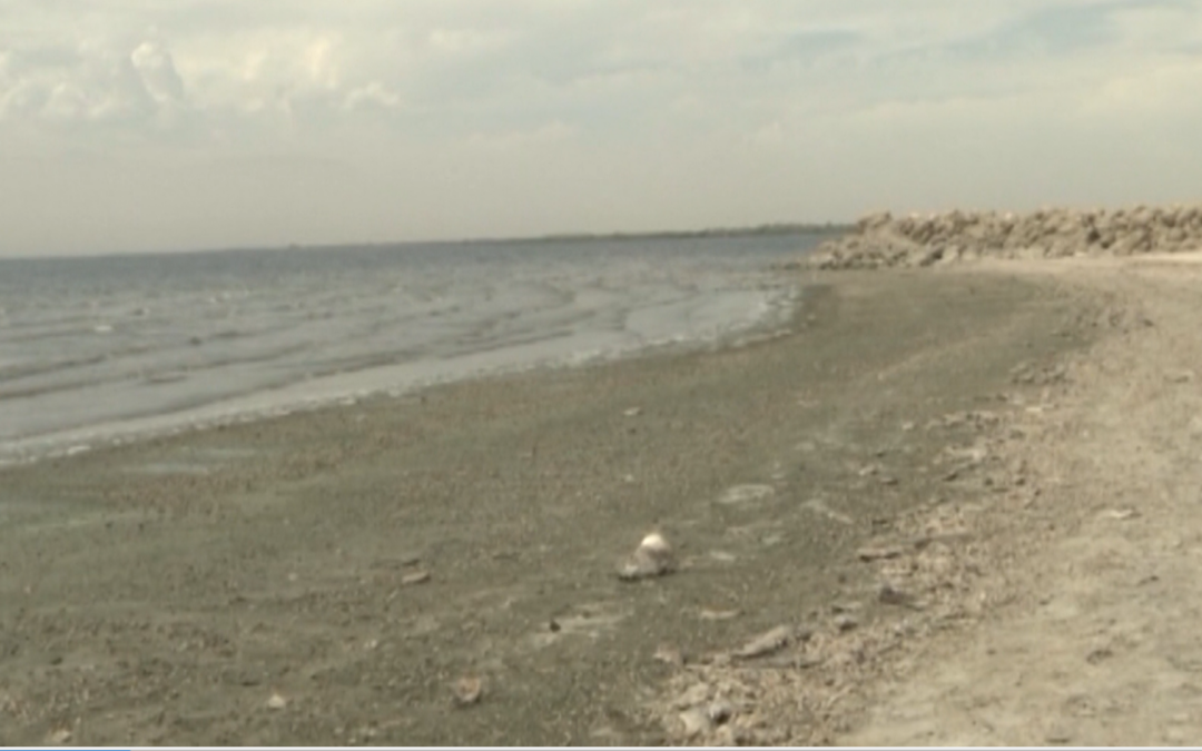 La Oficina del Sheriff del Condado de Imperial solicita apoyo del público tras el hallazgo de restos humanos en Salton City