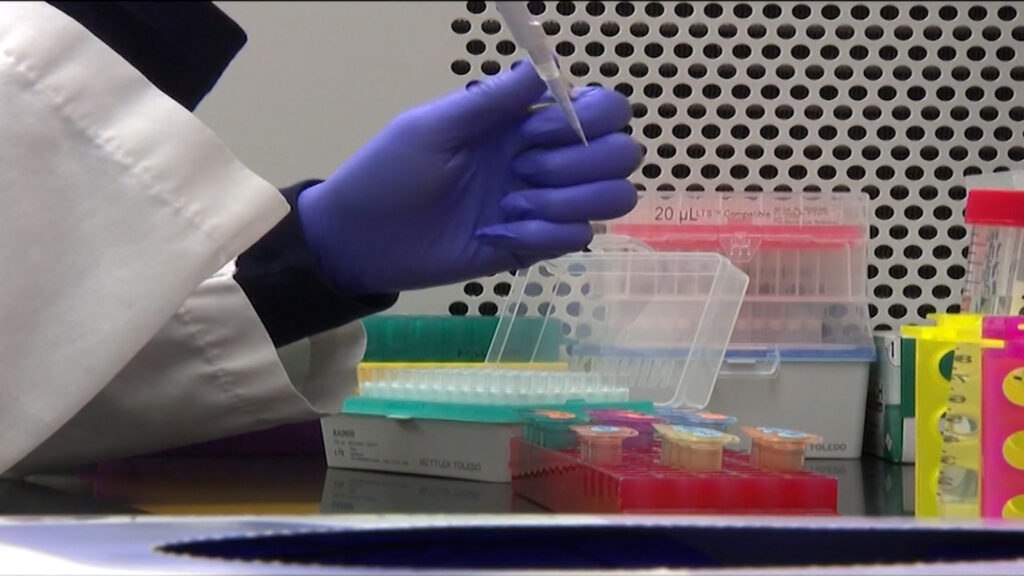 Cruz Roja Americana Alerta Sobre Escasez De Sangre Que Perjudica La Atención Hospitalaria