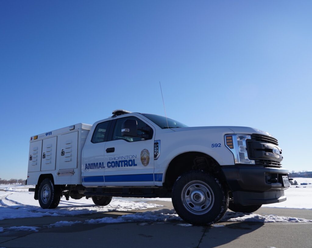 Cómo Proteger A Tus Mascotas Durante Las Temperaturas Extremas - Noticias Notivalle Cómo Proteger A Tus Mascotas Durante Las Temperaturas Extremas