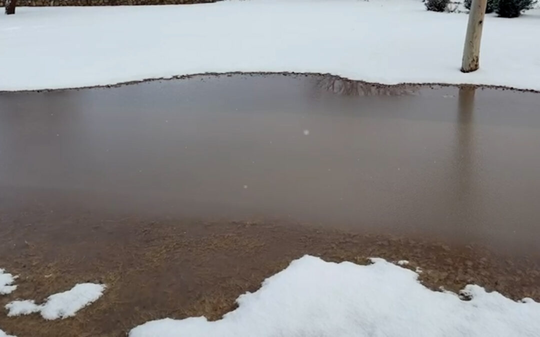 Consejos de Seguridad ante Bajas Temperaturas en Texas Durante la Tormenta Invernal