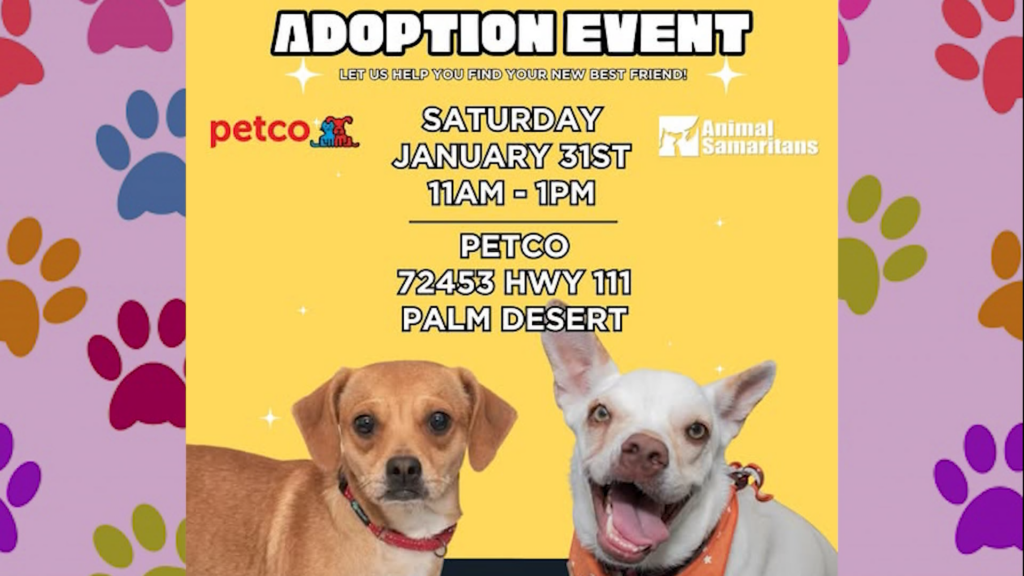 Animal Samaritans Organiza Evento De Adopción En Petco De Palm Desert