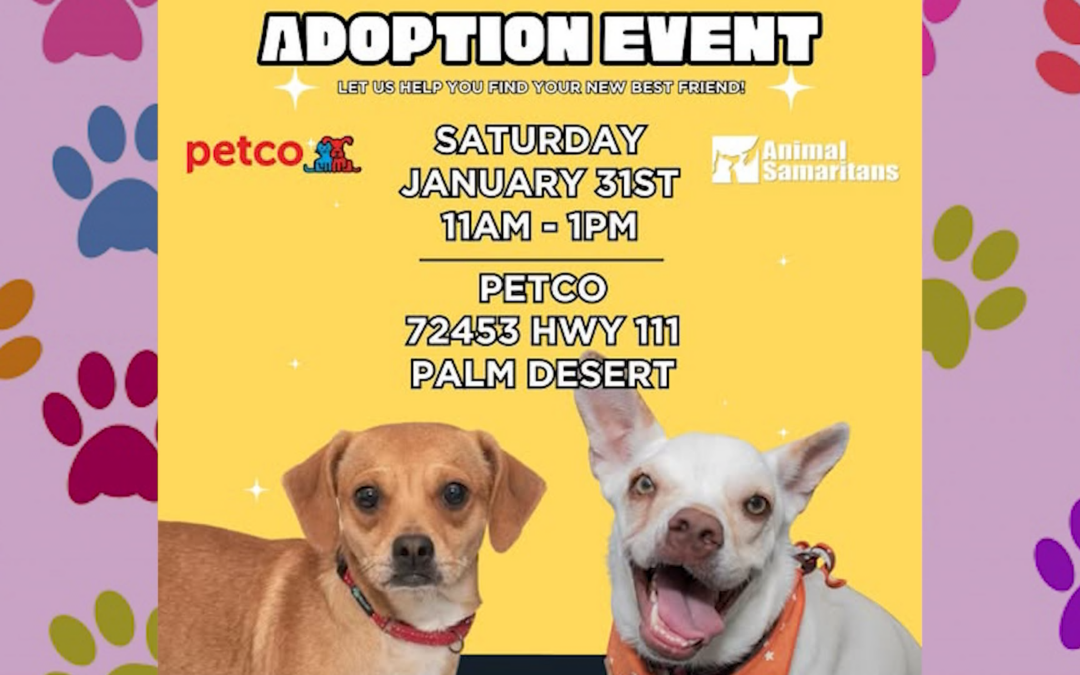 Animal Samaritans Organiza Evento de Adopción en Petco de Palm Desert