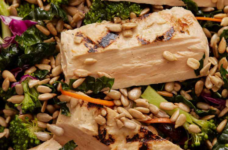 Desalojo de la planta de la empresa Meati en Boulder: crisis y deudas fiscales