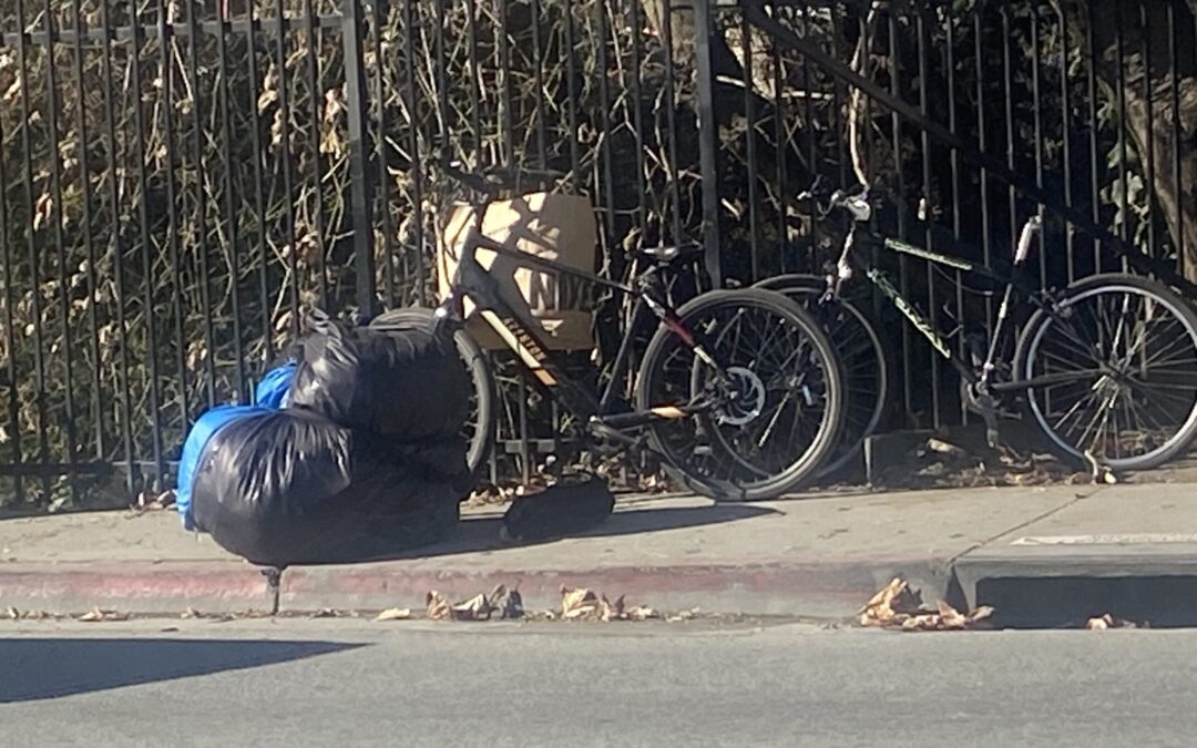 Conteo de Personas Sin Hogar en la Costa Central: Avances y Desafíos en la Crisis de Vivienda