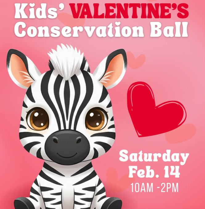 Celebra San Valentín en el Baile Infantil del Zoológico de El Paso: Un Evento de Conservación Familiar