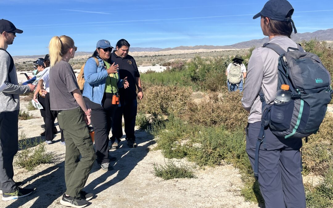 FLOWS impulsa futuro ambiental