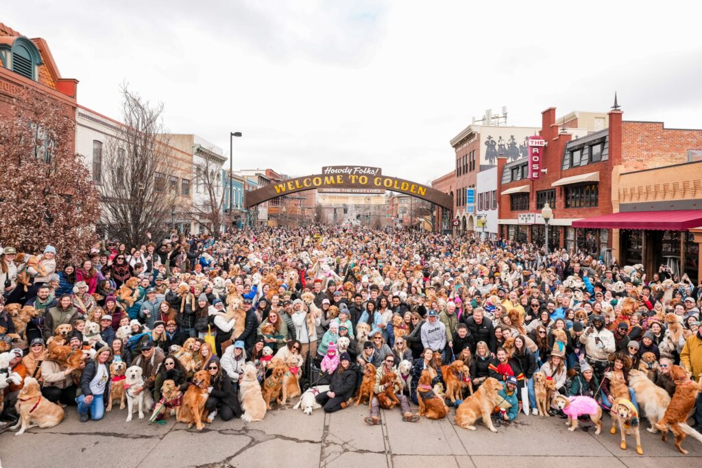 Goldens In Golden: Una Celebración Imperdible Para Los Amantes De Los Golden Retrievers En Colorado - Noticias Notivalle Goldens In Golden: Una Celebración Imperdible Para Los Amantes De Los Golden Retrievers En Colorado