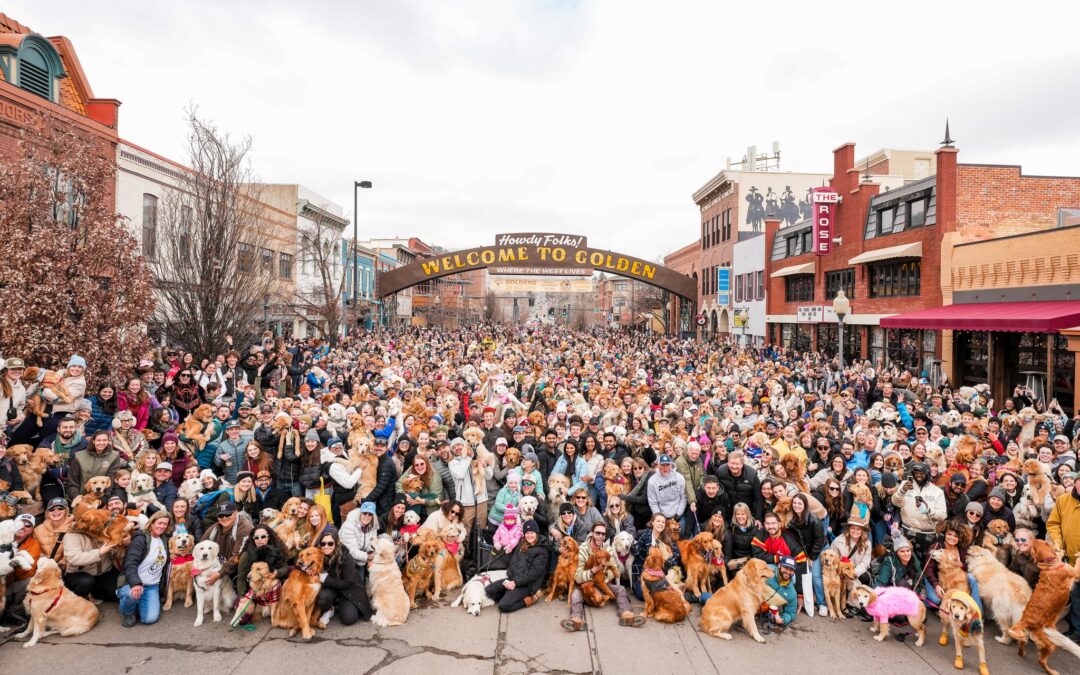 Goldens in Golden: Una Celebración Imperdible para los Amantes de los Golden Retrievers en Colorado