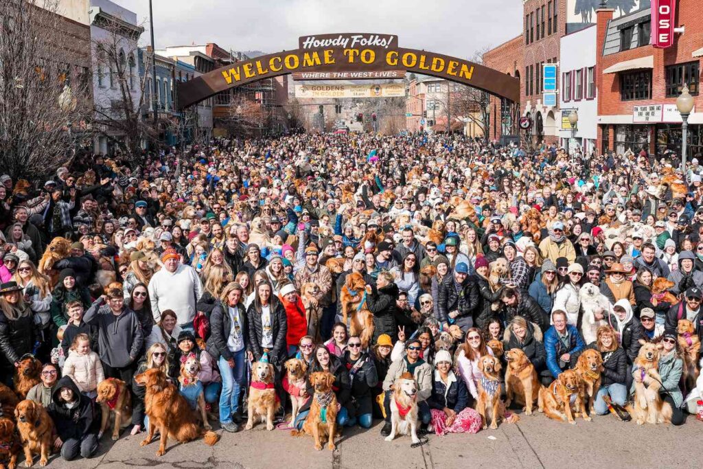 Goldens In Golden: El Encuentro De Golden Retrievers Que Rompe Récords - Noticias Notivalle Goldens In Golden: El Encuentro De Golden Retrievers Que Rompe Récords