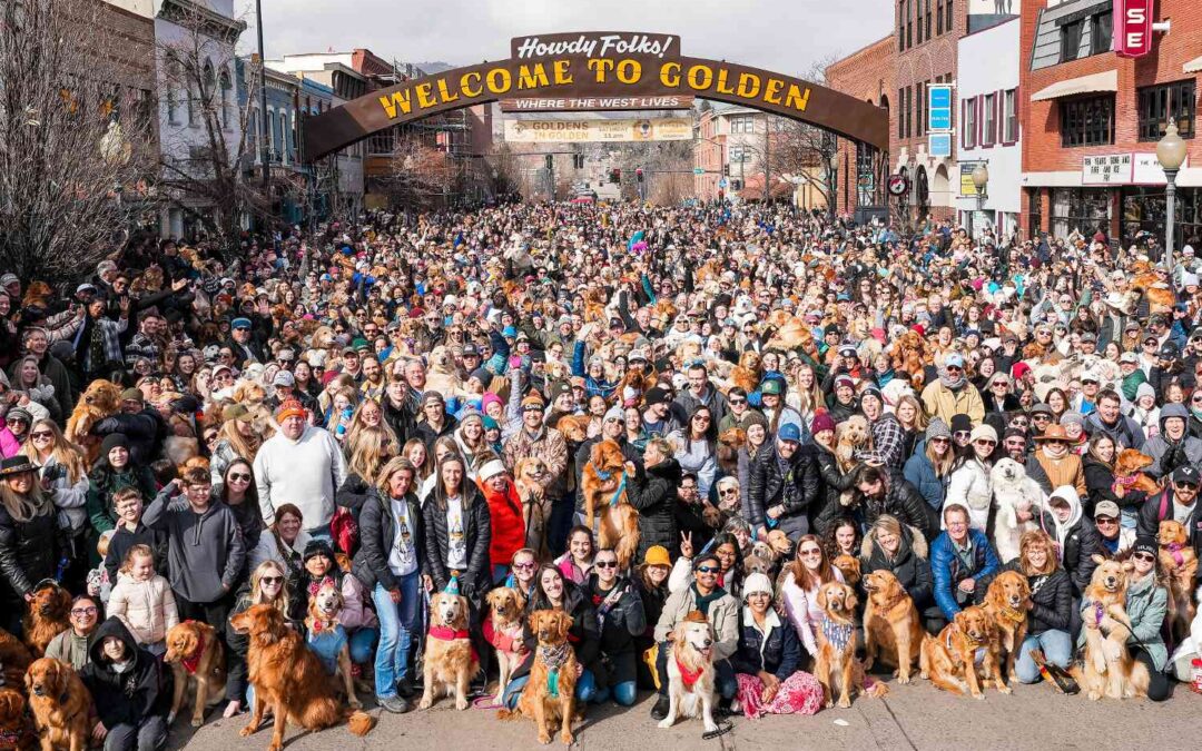 Goldens in Golden: El Encuentro de Golden Retrievers que Rompe Récords