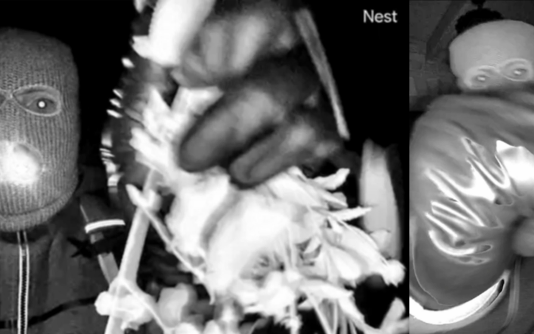 Nancy Guthrie: Imágenes del FBI Revelan Nuevos Detalles en su Desaparición