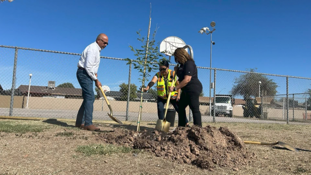Reforestación En Nosotros Park: Mejorando Los Espacios Públicos De Calexico - Noticias Notivalle Reforestación En Nosotros Park: Mejorando Los Espacios Públicos De Calexico