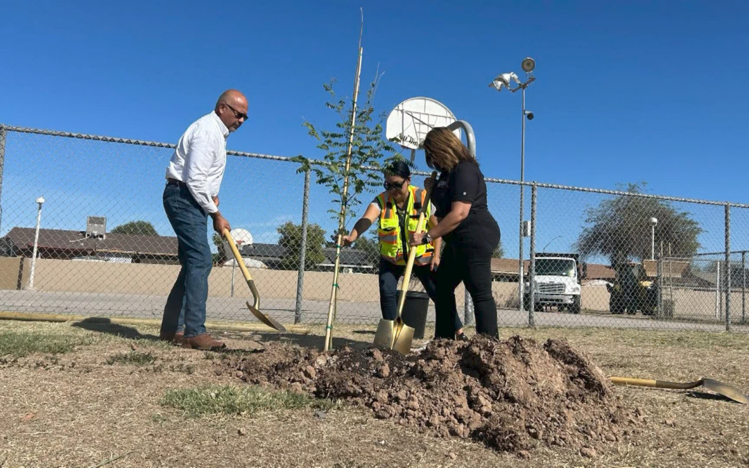 Reforestación en Nosotros Park: Mejorando los Espacios Públicos de Calexico