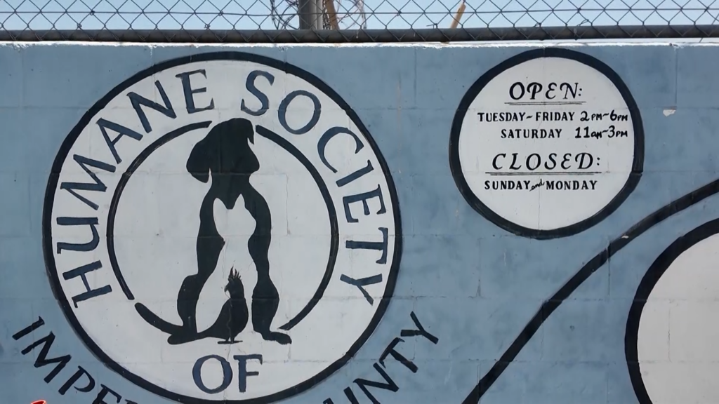 Festival De Mascotas En Imperial: ¡Apoya A La Sociedad Protectora De Animales Del Condado Imperial!