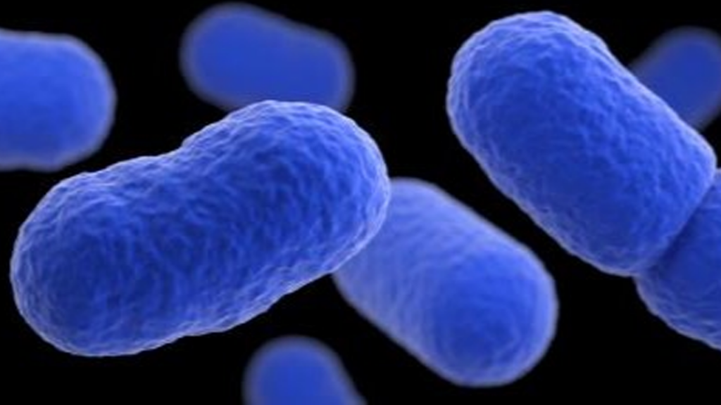 Tragedia En Santa Fe: Recién Nacido Muere Por Listeria Vinculada A Leche Cruda