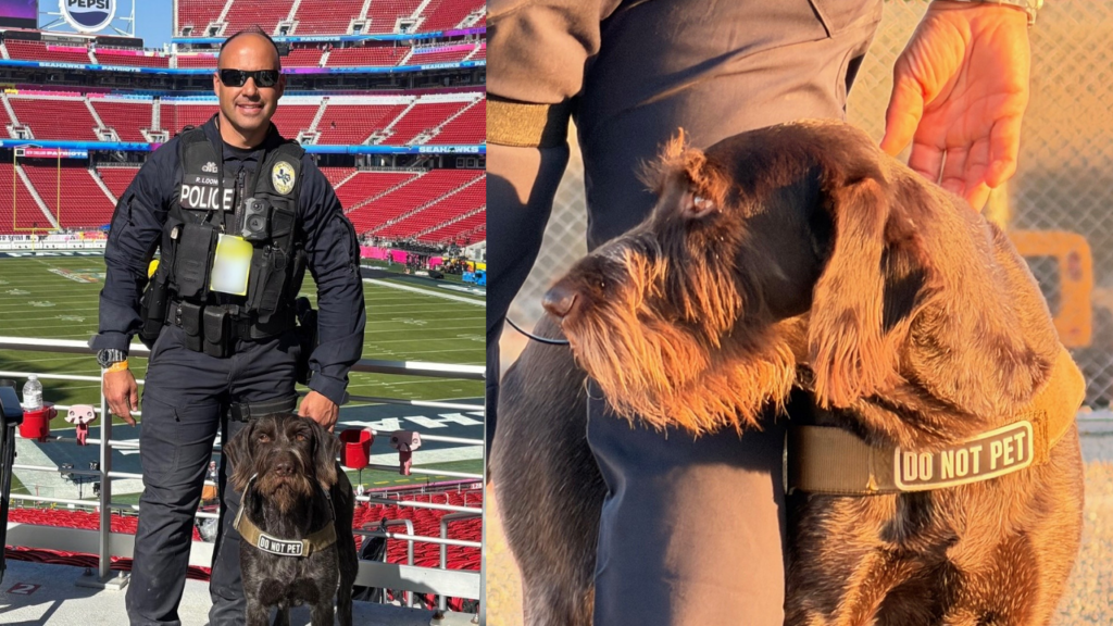 Super Bowl 60: El Policía De El Paso Y Su K9 Laky Destacan En La Seguridad De Santa Clara