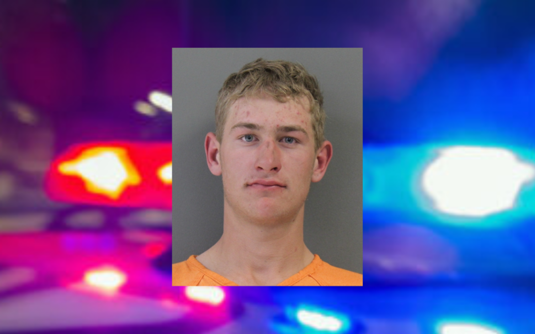 Detención de Adolescente por Robo en Seminole: Vandalismo y Más