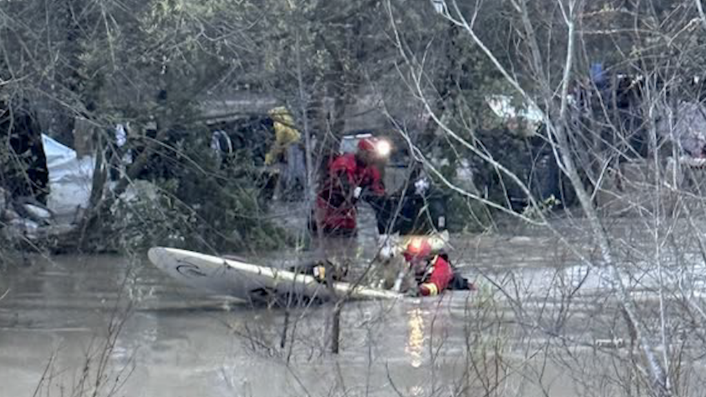 Rescate Acuático Exitoso En Pajaro Valley: Mujer Y Sus Perros A Salvo