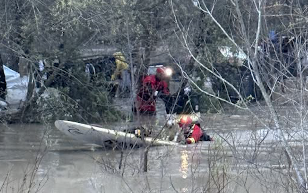 Rescate Acuático Exitoso en Pajaro Valley: Mujer y Sus Perros a Salvo