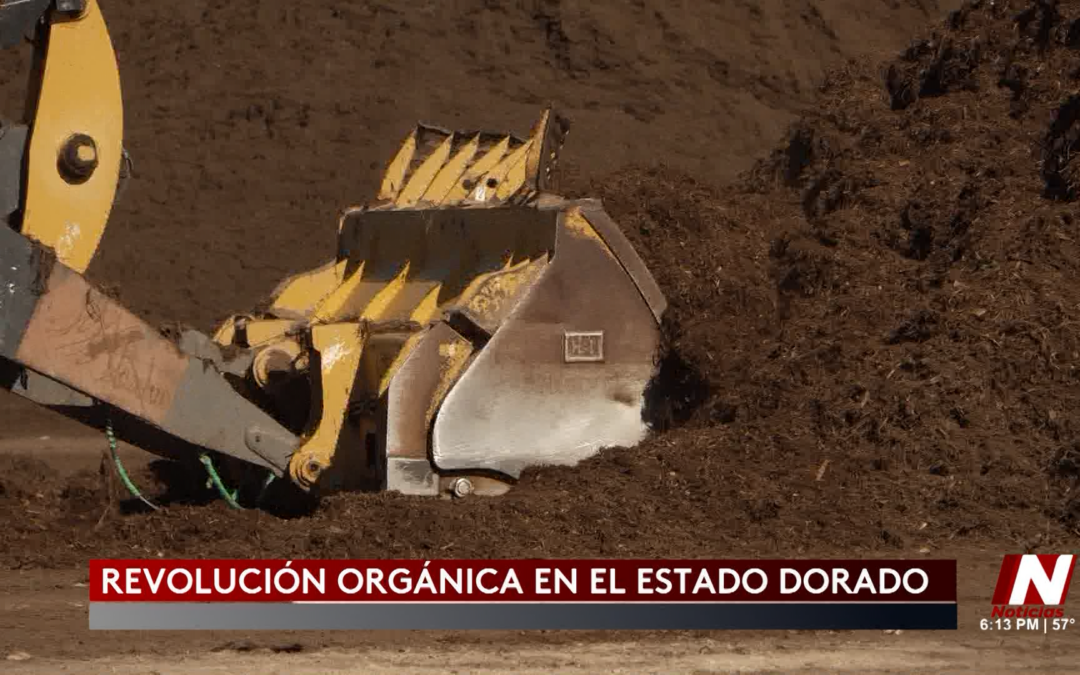Desperdicio Orgánico: Revolución Sostenible en California con Energía Solar