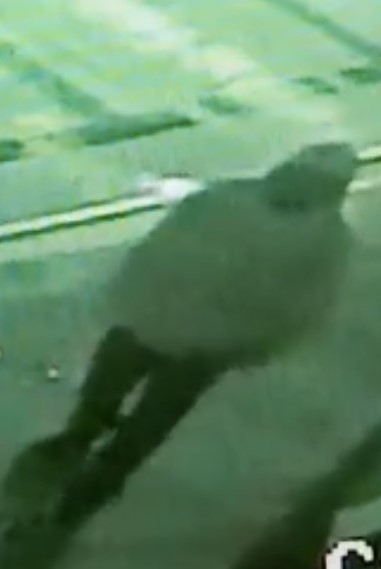 Robo en Carson City: Buscan a Sospechoso tras Audaz Asalto Nocturno