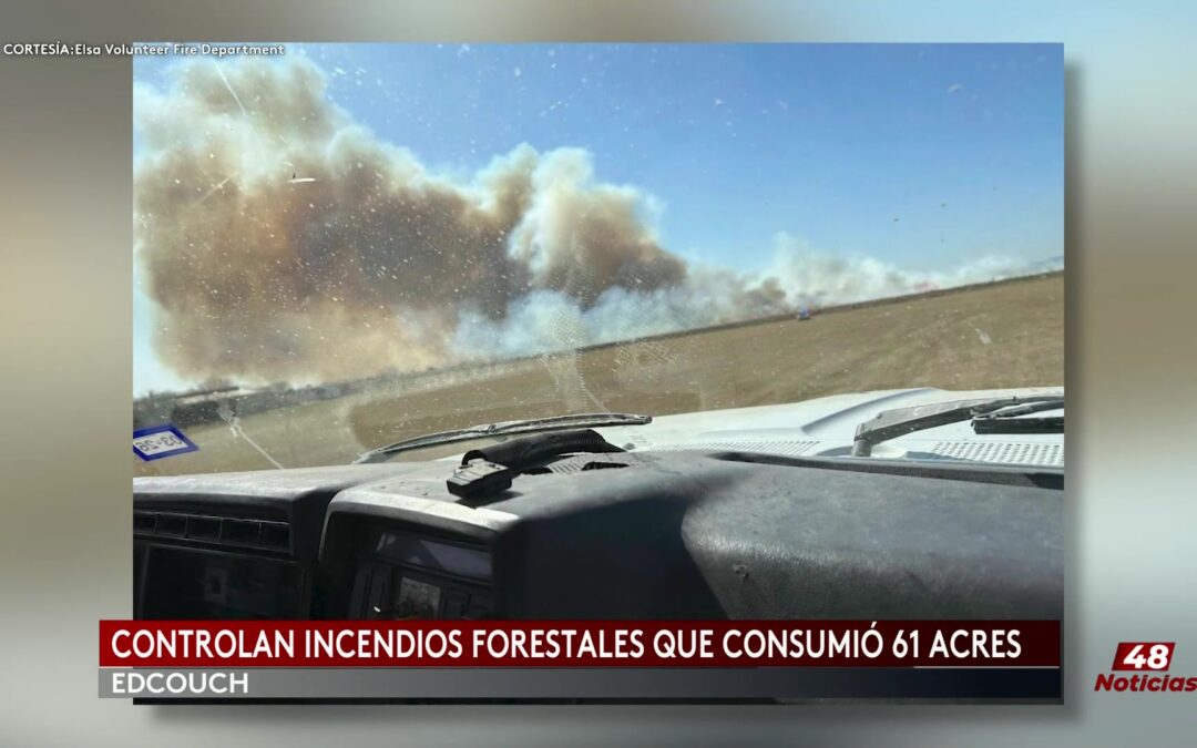 Incendio Forestal Controlado en Edcouch: Respuesta Rápida y Efectiva de Emergencia