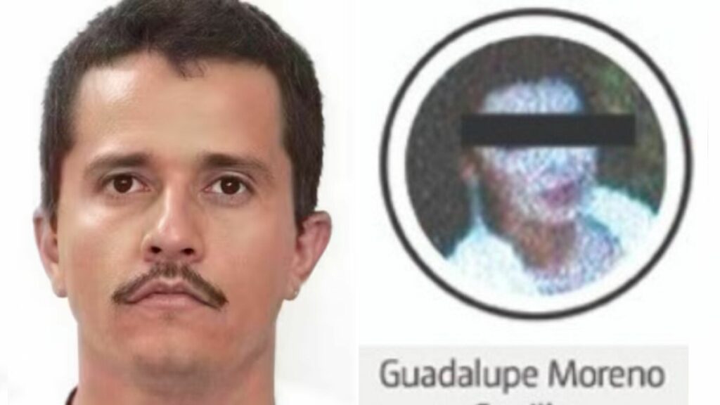 Guadalupe Moreno: Clave En El Cjng Y Última Pareja De El Mencho