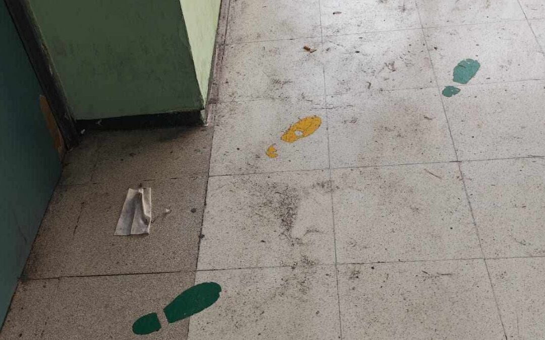 Alerta sanitaria: Chinches en la clínica IMSS 82 de Saltillo