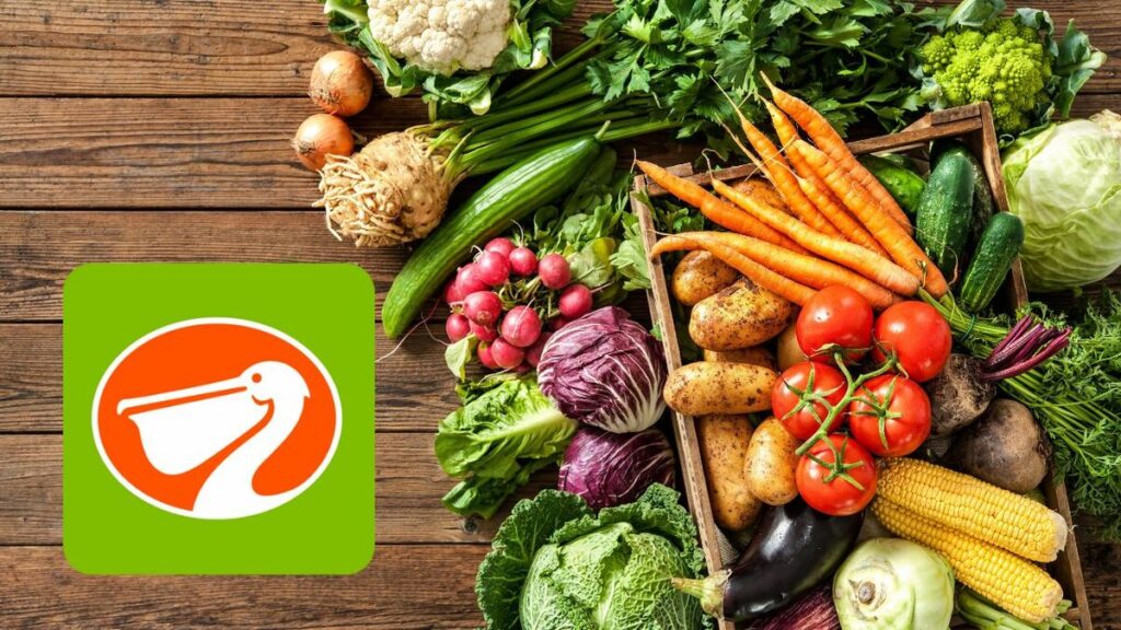 Grandes Descuentos En El Miércoles De Plaza En La Comer: ¡Aprovecha Hoy 25 De Febrero De 2026! - Noticias Notivalle Grandes Descuentos En El Miércoles De Plaza En La Comer: ¡Aprovecha Hoy 25 De Febrero De 2026!