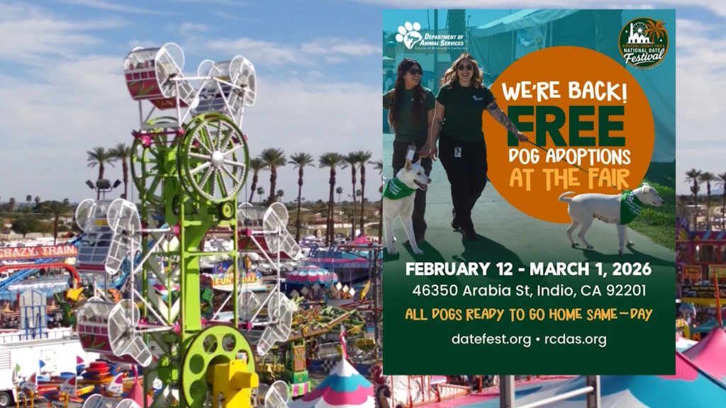 Adopciones Gratuitas De Perros Concluyen Este Fin De Semana En La Feria Del Condado Y El Festival Del Dátil
