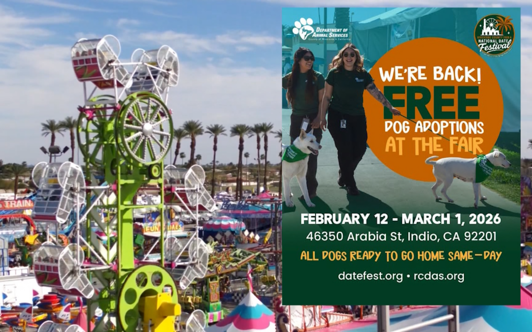 Adopciones gratuitas de perros concluyen este fin de semana en la Feria del Condado y el Festival del Dátil