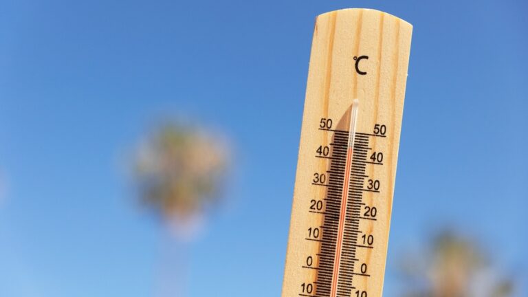Centro de enfriamiento en Indio brinda apoyo y seguridad ante calor extremo