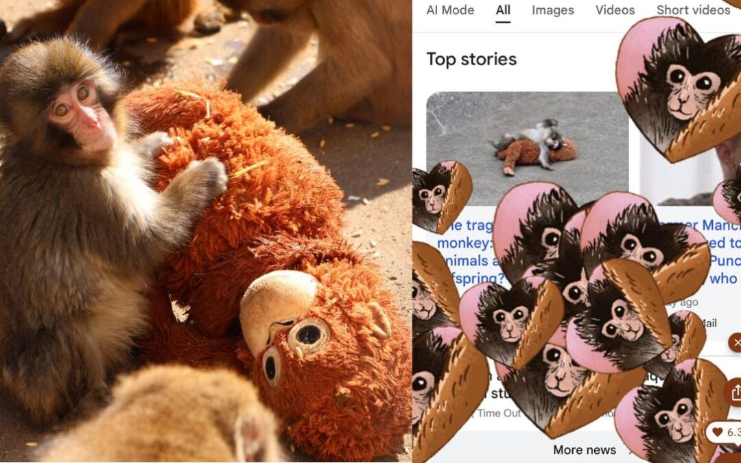 Google Homenajea al Monito Punch con un Fascinante Juego Interactivo: ¡Descubre Cómo Activarlo!