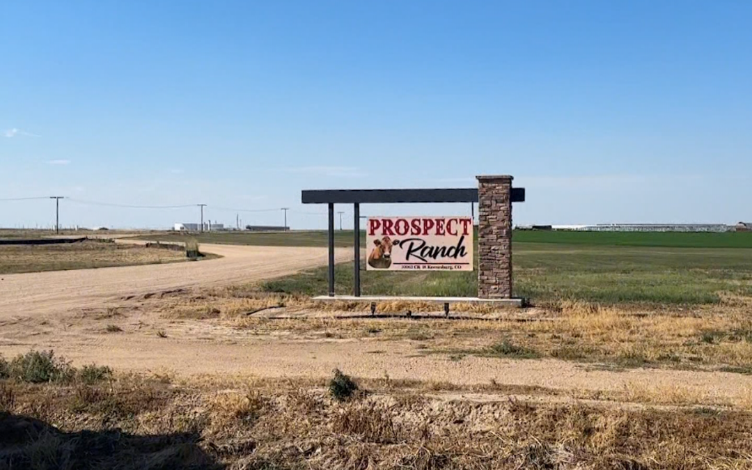 Multas Elevadas Tras la Trágica Muerte de Trabajadores en Lechería de Colorado