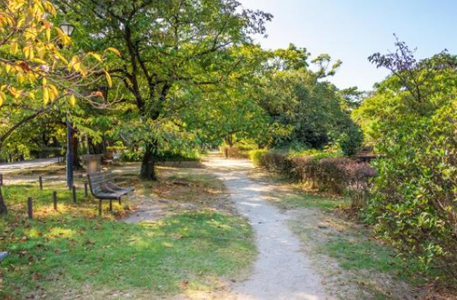 Transformación del Idlewild Park: 120 mil dólares del Reno Rodeo para accesibilidad