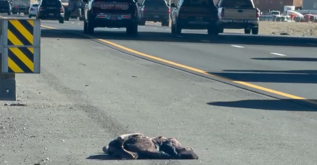 Trágico Choque De Tesla En La Interestatal 40 De Albuquerque Deja Un Fallecido - Noticias Notivalle Trágico Choque De Tesla En La Interestatal 40 De Albuquerque Deja Un Fallecido