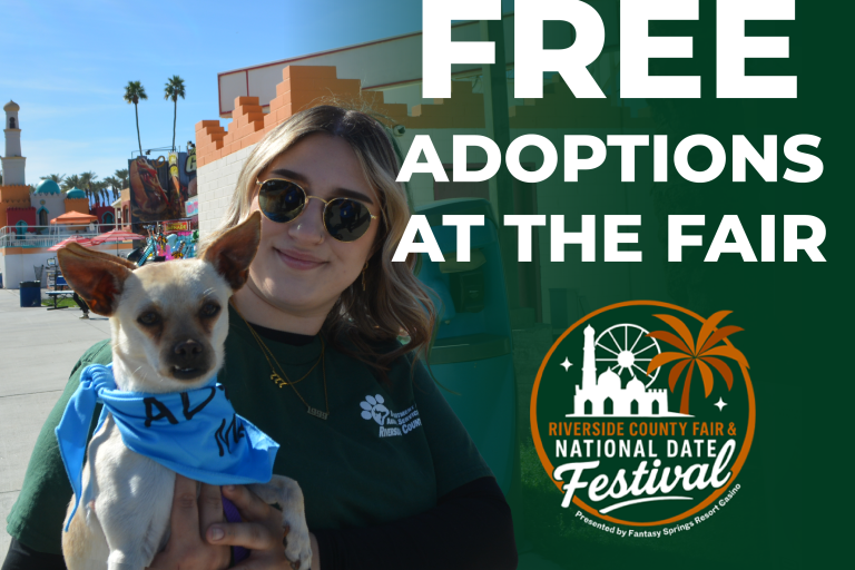Ofrecen adopciones gratuitas de perros en la Feria del Condado de Riverside y el Festival Nacional del Dátil