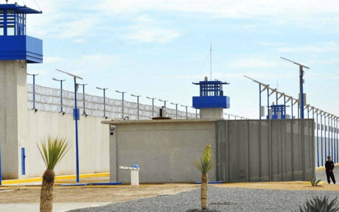 Incautan marihuana en Cefereso de Gómez Palacio: Mujer vinculada a proceso